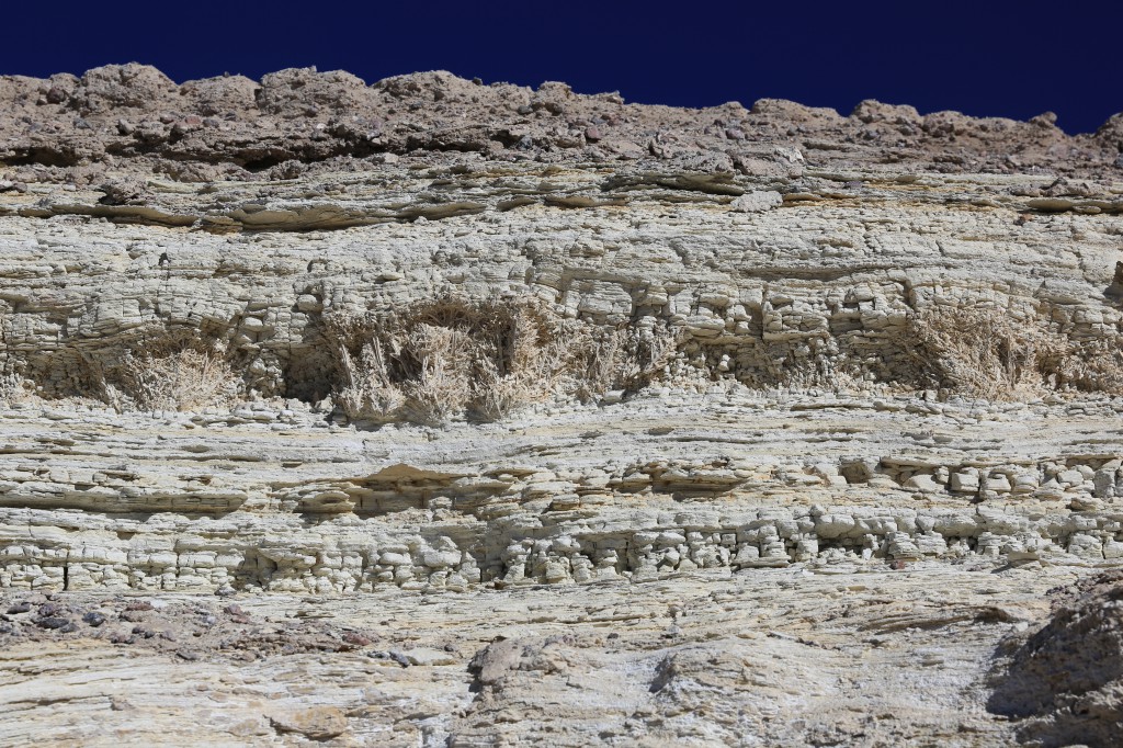 Layers of calcium sulfite show the rich history this area has experienced with different types of animals and plants having existed there long ago.