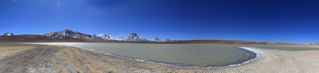 At the Laguna Lejia, we look  back at Lascar, Agua Caliente and Pili in the distance. We're still at 4300m altitude here, hard to fathom!